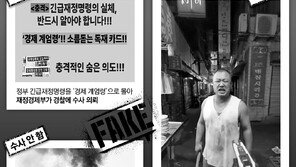 “잡혀도 벌금 3000만원”… ‘조회수 장사’에 허위영상 무차별 확산