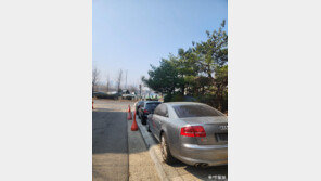 수출용 중고차 불법 주차로 몸살 앓는 옛 송도유원지 일대