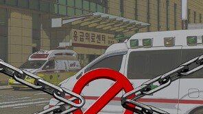 쌍둥이 한 명 잃었다…대구에서 분당까지 임신부 ‘응급실 뺑뺑이’