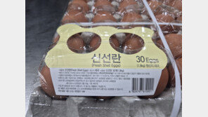 aT, 태국 신선란 첫 수입… 계란 공급망 다각화