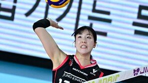 프로배구 여자부 8일 FA 선수 공시…‘영입 전쟁’ 본격화, 최대어 정호영의 행방은