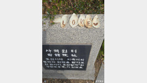 [고양이 눈]사랑도 통역이 되나요?