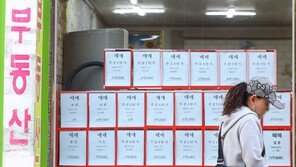 정책대출 축소에 생애최초 디딤돌 대출 반토막