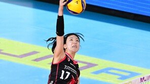 ‘최대어’ 정호영 행선지는 어디?…여자배구 FA 시장 열렸다