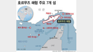 “이란·오만, 호르무즈 통행료 받을 듯…휴전안에 통행료 포함”