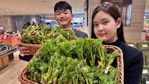 봄기운 듬뿍 ‘순창 참두릅’ 어떠세요?