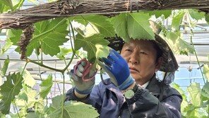 정청래 “하정우 부산출마 삼고초려…곧 공개 요청할 것”
