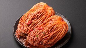 “곰팡이 걷어내도 소용없다”…오래된 김치 속 독소의 경고