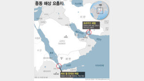 “‘호르무즈 우회’ 사우디 동서 횡단 송유관 피격”