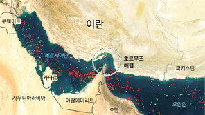 트럼프 “호르무즈 통행료 검토… 이란과 조인트 벤처 추진할 수도”