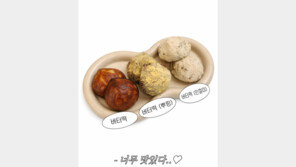 “주식보다 짭짤한 디저트 코인…나만 빼고 다 아는 ‘00떡’ 정체”[이설의 한입 스토리]