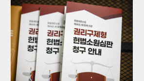 [사설]‘재판소원 한 달’ 194건 다 각하… ‘4심’ 우려 씻은 헌재의 신중함