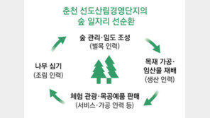 목재 가공-재배-관광… 산림경영 사업 13년 “숲이 평생 직장으로”