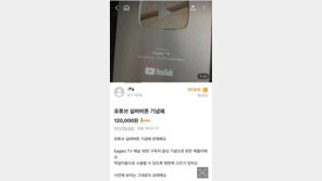 지난해 사라진 ‘한화 이글스 실버버튼’ 당근에 등장…수사 착수