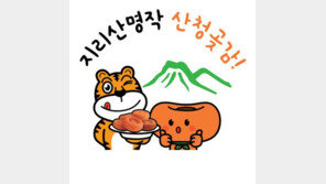 [2026 대표브랜드대상]지리산 청정 자연이 만든 산청곶감