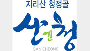 [2026 대표브랜드대상]산청군의 효자 작물 고당도 산청딸기