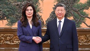 10년 만의 국공회담, 習 “대만독립 반대”