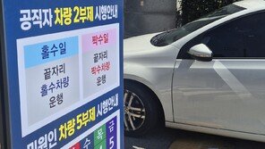 걸프전 땐 민간車 멈췄지만… 국민 불편 감수 부담에 정부 ‘신중’