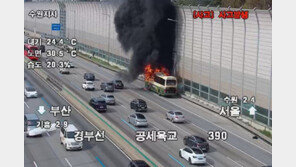 고속도로 달리는 버스서 불…운전기사 등 28명 대피
