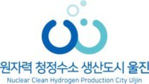 원자력 전기 활용한 청정수소 대량생산 최적 입지