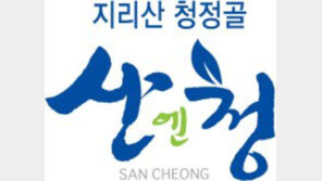 지리산이 키운 친환경 고당도 산청딸기
