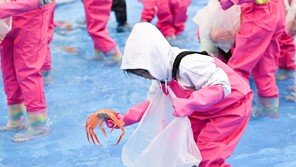 G20 세계 정상들을 매료시킨 영덕대게