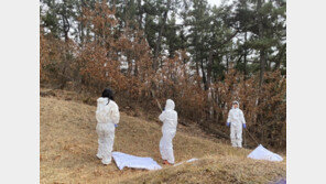 봄철 참진드기 활동 시…질병청 “긴 소매 옷 입고 기피제 사용하세요”