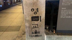 ‘단종 부부 이별’ 영도교에 낙서한 50대…“영미교인줄 알았다” 황당 해명