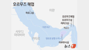 美, 역봉쇄에 상륙함-F35 스텔스기-수직이착륙기 다 투입했다