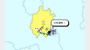 “늑구야, 대체 어딨니”…추적 사이트 ‘늑구맵’도 등장