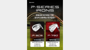 골프용품 시장 ‘아이언 전쟁’… 맞춤형 설계가 승부 가른다