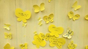 팽목항 세월호 기억관, 12년만에 정식 기념관으로 신축한다