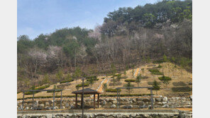 유골 뿌리는 홍천 ‘산분장지’ 운영 시작