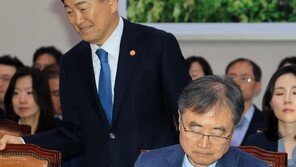 조현 “한국선박 26척 정보… 이란 外 걸프국-美에도 줘… 대가 지불할 계획은 없어”