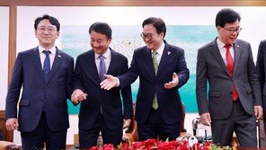 여야, 내일 정치개혁 법안 처리 합의