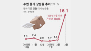 3월 수입 물가 16% 올라 외환위기후 최대폭