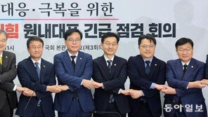 “중동 상황 극복” 손잡은 여야정