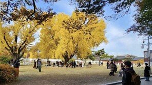 고궁 야외혼례 293쌍 몰려 ‘18대 1’…16쌍→28쌍 확대