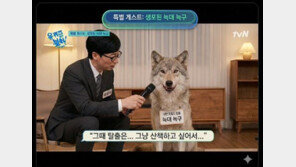 ‘탈출왕’ 늑구, 유퀴즈 출연? ‘늑구 밈’ 봇물