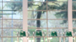 김수지, 다이빙 1m 스프링보드 金