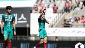 ‘유강현 결승골’ 대전, 서울에 시즌 첫 패배 안기며 3연패 탈출