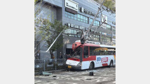 승합차와 충돌한 시내버스, 전신주 ‘쾅’…승객 14명 다쳐