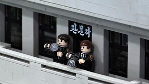 [고양이 눈]레고의 변신