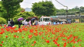 “꽃보다 노래”… 5월 황룡강엔 발라드-트로트가 흐른다