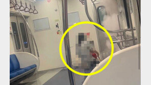 지하철서 돌연 소화기 뿌린 20대女 “작동되는지 궁금”