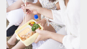 “다 끓였는데 왜?”…봄 소풍 도시락, 방심했다간 식중독 [알쓸톡]