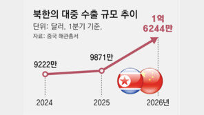 [단독]北의 3월 中수출, 2017년 대북제재이후 최고… 관계회복 바람 타고 1분기 교역량 14% 늘어