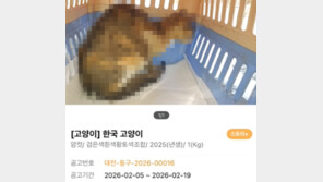 길고양이 얼굴을 ‘토치’로…경찰, 상습 학대 혐의 70대 구속영장 신청