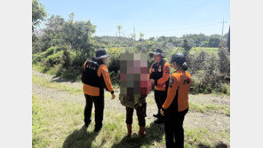 “주말 이틀에 14건”…고사리 캐다 길 잃고 뱀까지, 제주 ‘주의보’