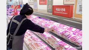 “봄맞이 캠핑·나들이족 잡는다”… 이마트, 대규모 육류할인 행사개최